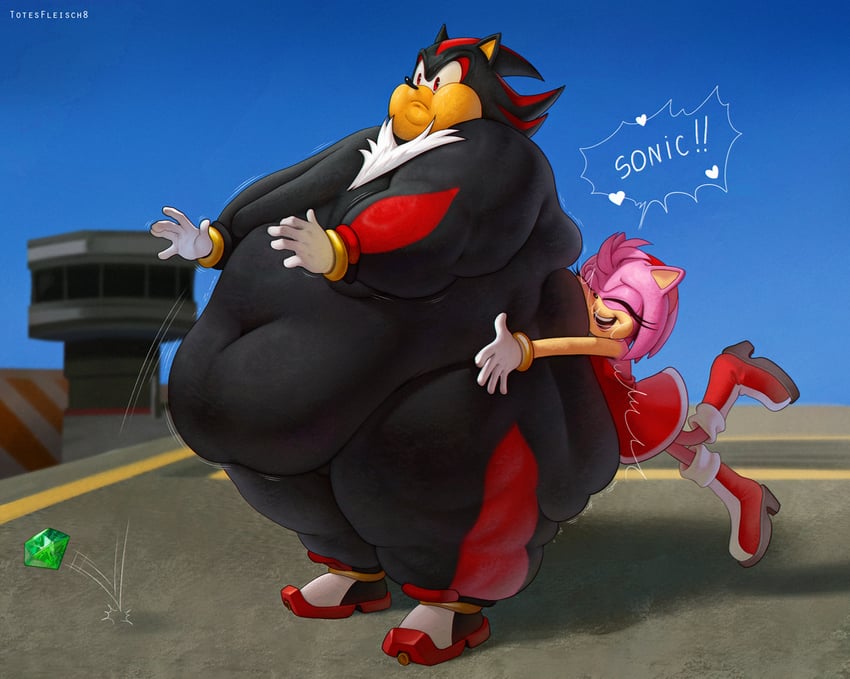shadow the hedgehog and amy rose (sonic) drawn by totesfleisch8