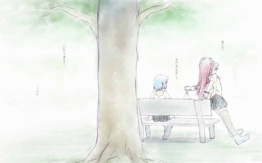 miki sayaka and sakura kyoko (mahou shoujo madoka magica) drawn by dancho_(danch)