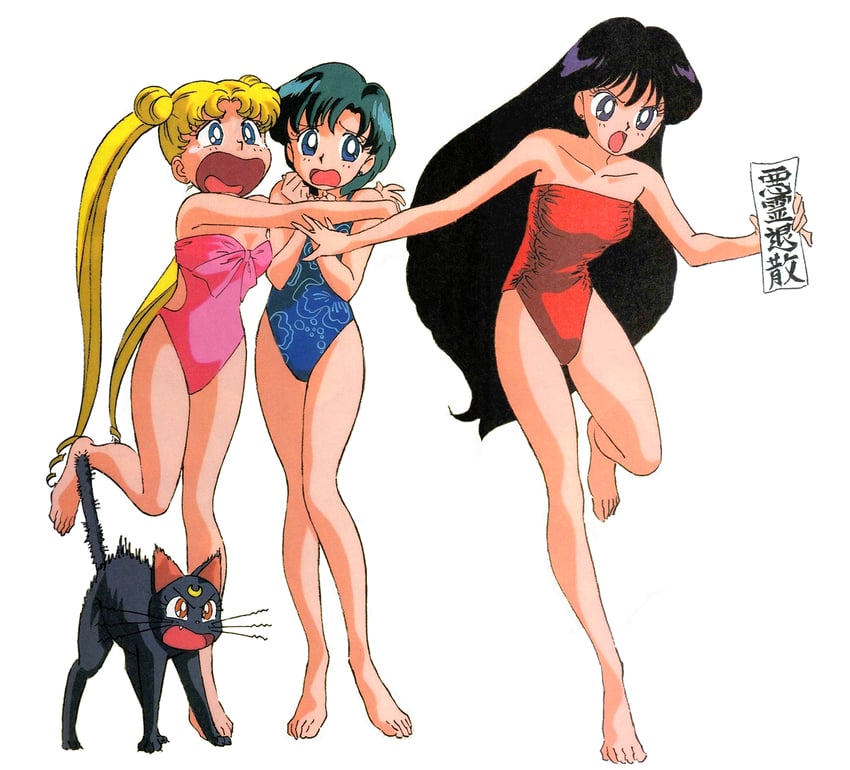 tsukino usagi, mizuno ami, hino rei, and luna (bishoujo senshi sailor moon) drawn by tadano_kazuko
