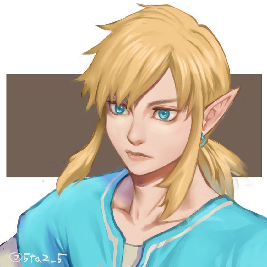 link (the legend of zelda and 1 more) drawn by 5tatsu