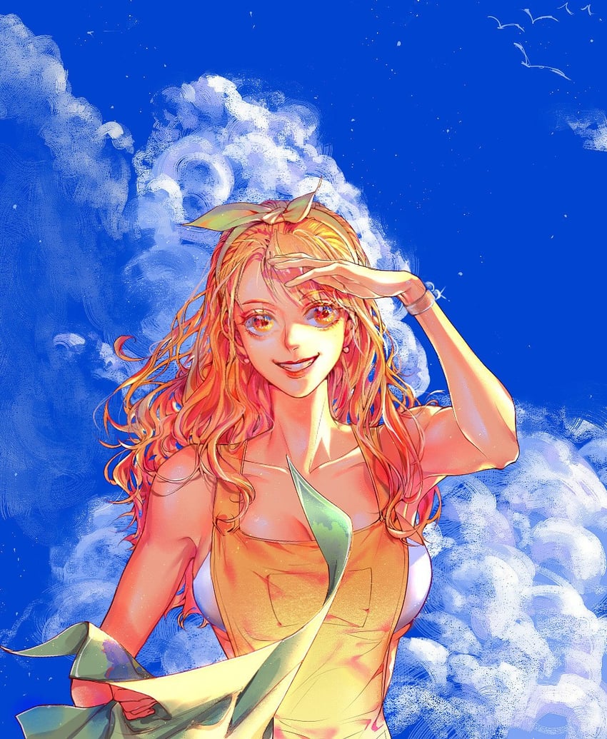nami (one piece and 1 more) drawn by smdsqi