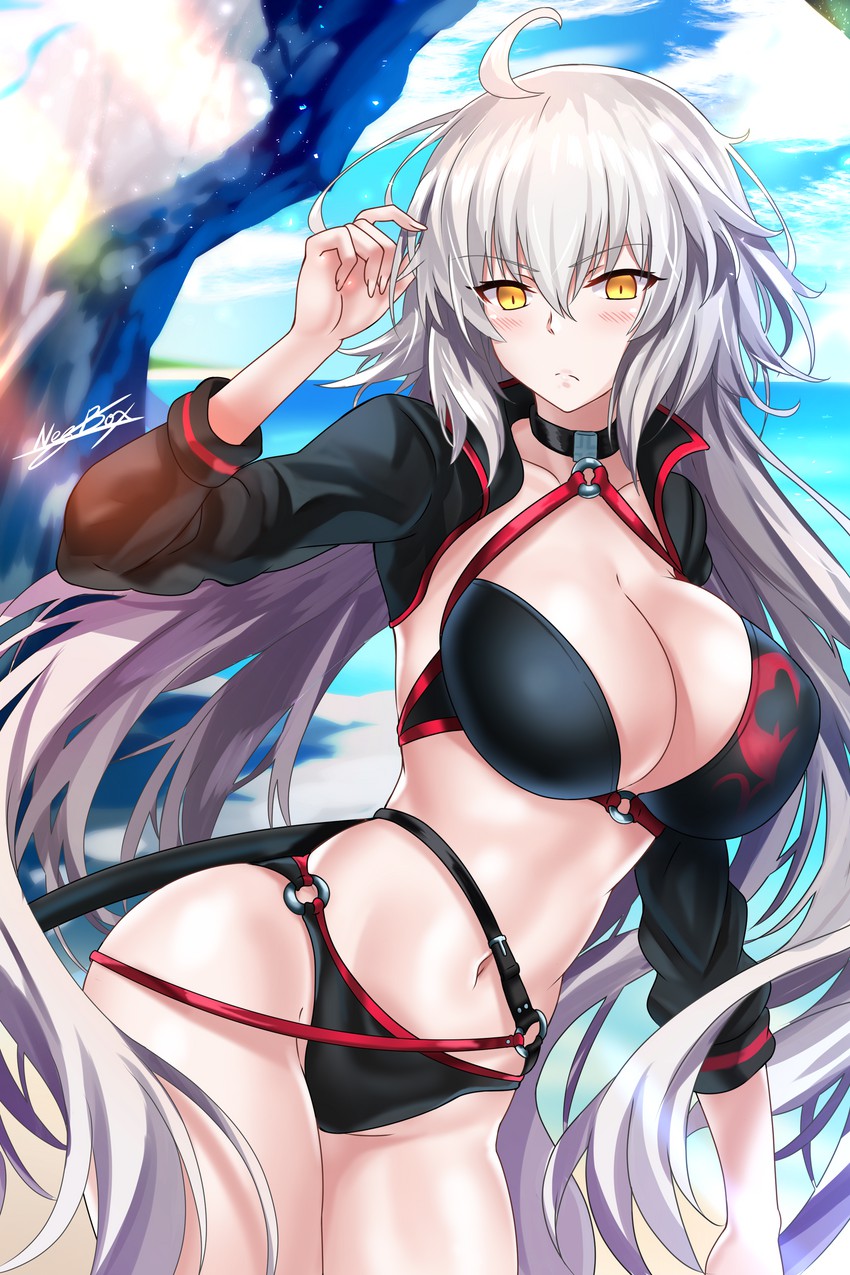 jeanne d'arc alter (fate and 1 more) drawn by nez-box