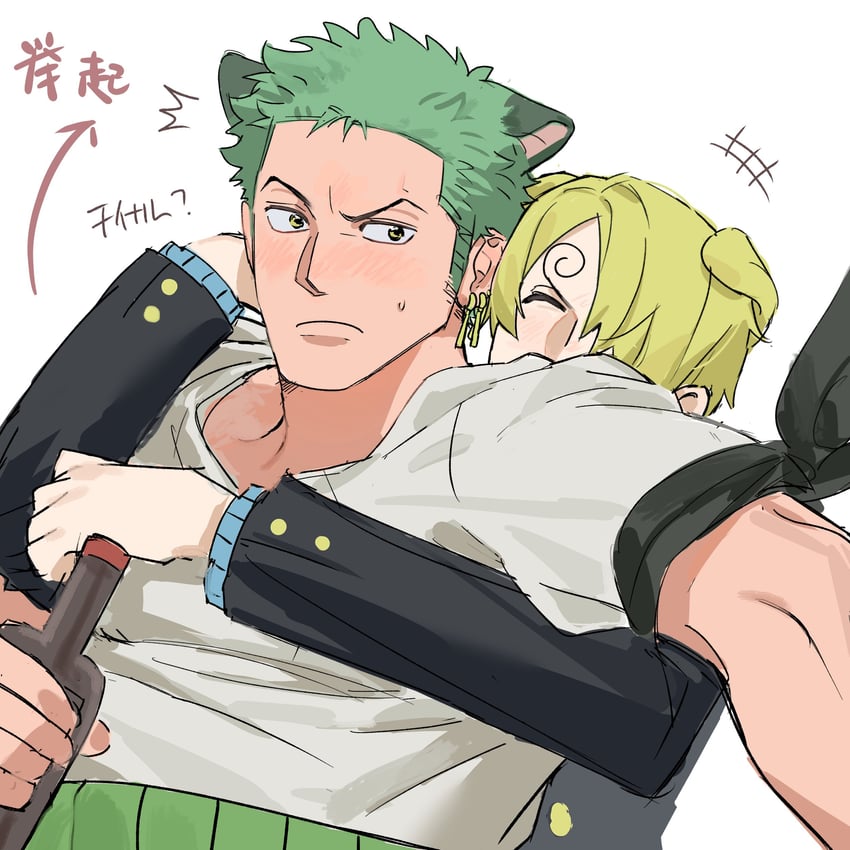 roronoa zoro and sanji (one piece) drawn by sweetdou3