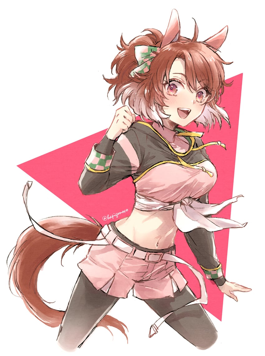 dantsu flame (umamusume and 1 more) drawn by skm_(hapigonoco)