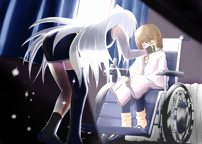 yagami hayate and reinforce (lyrical nanoha and 2 more) drawn by add_(addadd0613)