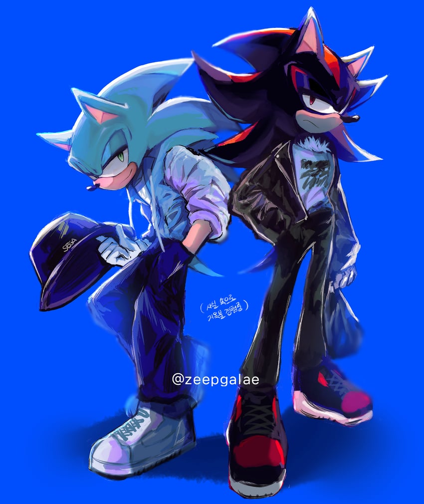 sonic the hedgehog and shadow the hedgehog (sonic and 1 more) drawn by shapam_(zeepgalae)
