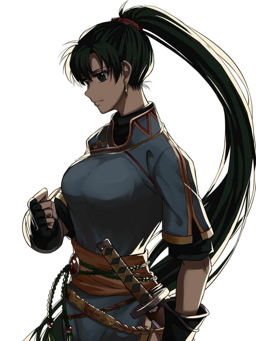 lyn (fire emblem and 1 more) drawn by delsaber