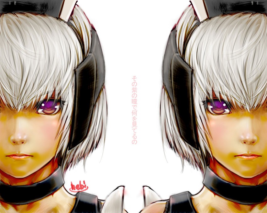 racaseal (phantasy star and 1 more) drawn by hebina_masayoshi