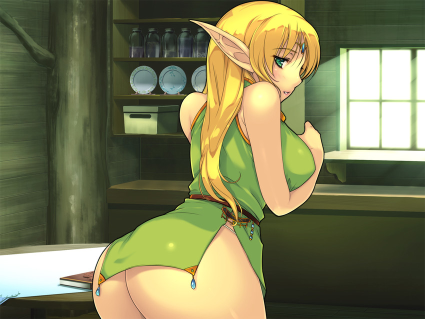 deedlit (record of lodoss war) drawn by yoko_juusuke