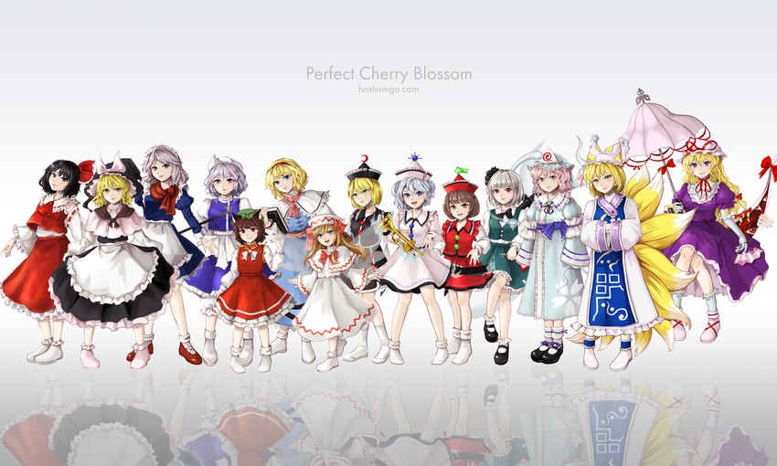hakurei reimu, kirisame marisa, izayoi sakuya, konpaku youmu, alice margatroid, and 9 more (touhou and 1 more) drawn by hoshiringo0902