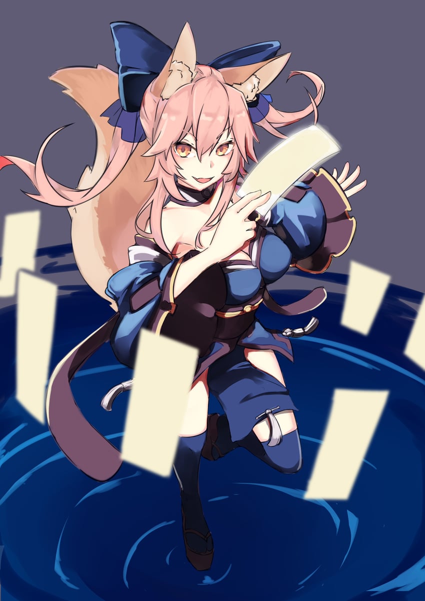 tamamo and tamamo no mae (fate and 1 more) drawn by arion910