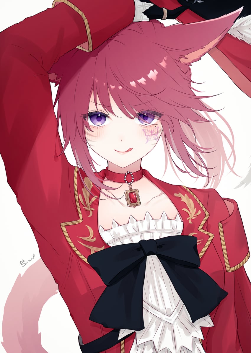 warrior of light and red mage (final fantasy and 1 more) drawn by sana_(sanamaru_0w0)
