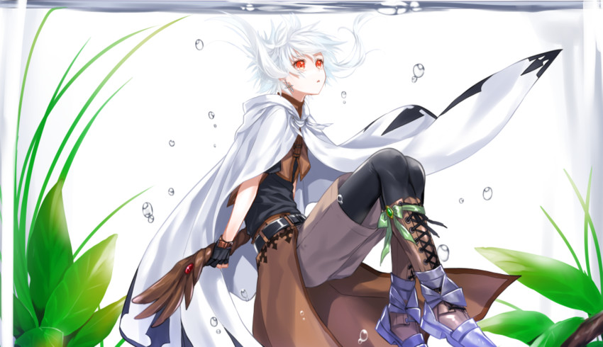 sword world 2.0 drawn by waka_(shark_waka)