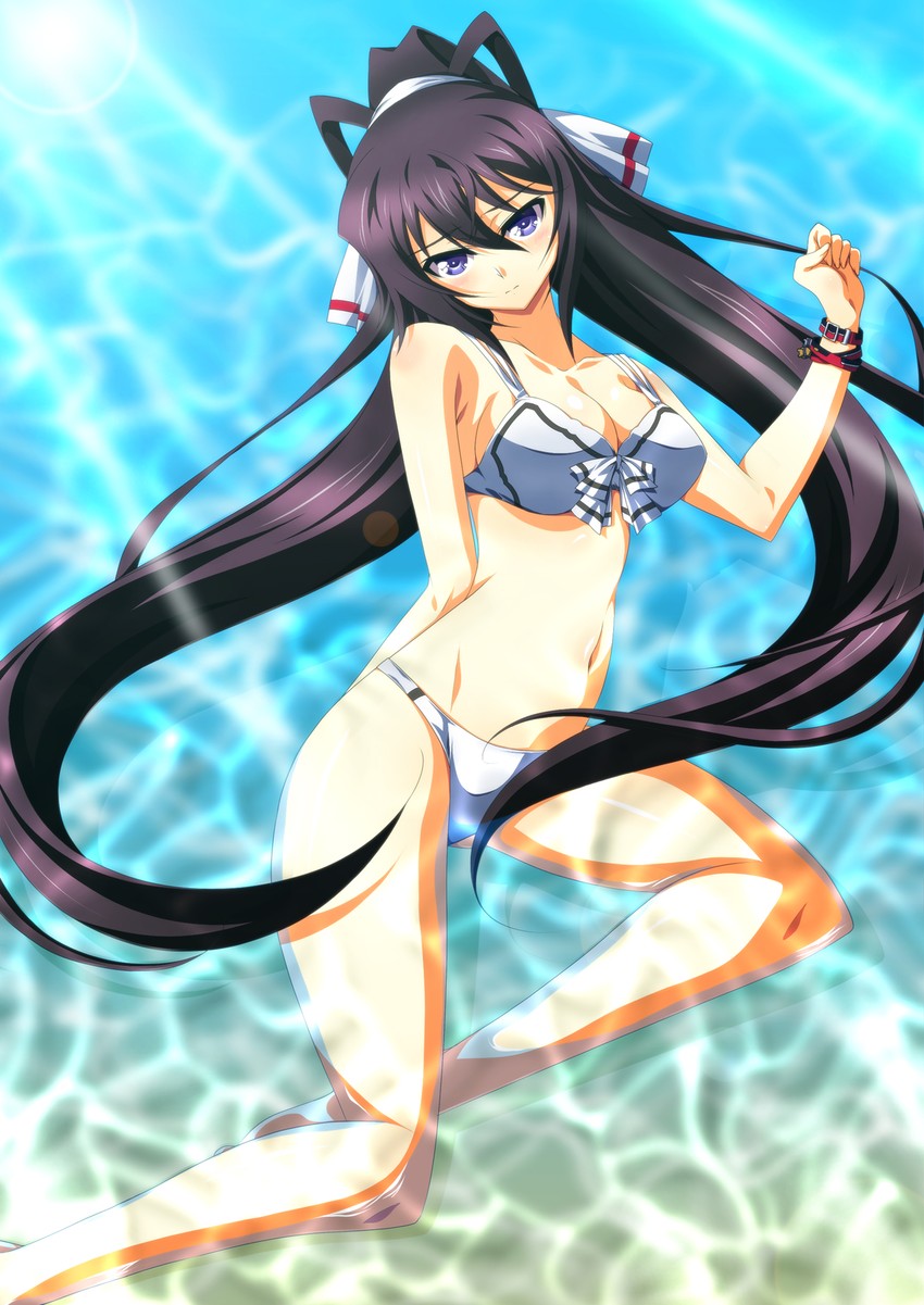 shinonono houki (infinite stratos) drawn by ka2