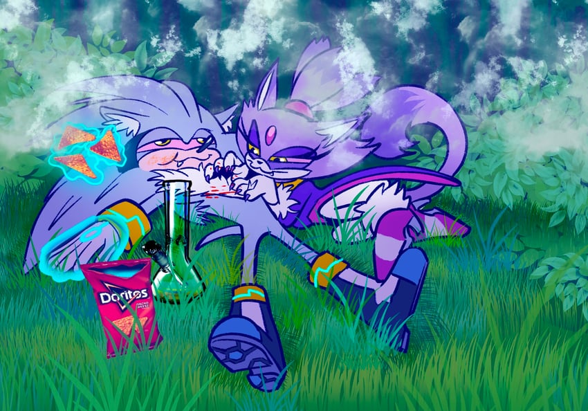 blaze the cat and silver the hedgehog (sonic) drawn by geodedog