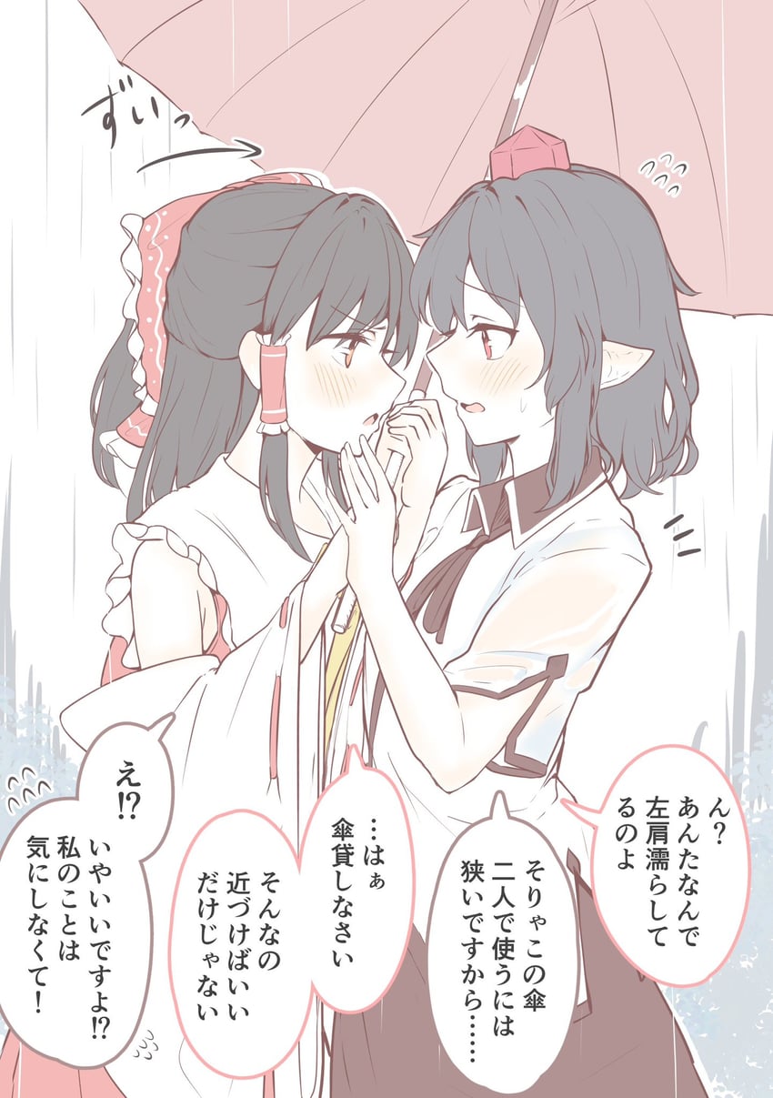 hakurei reimu and shameimaru aya (touhou) drawn by seele_(chanseele0128)