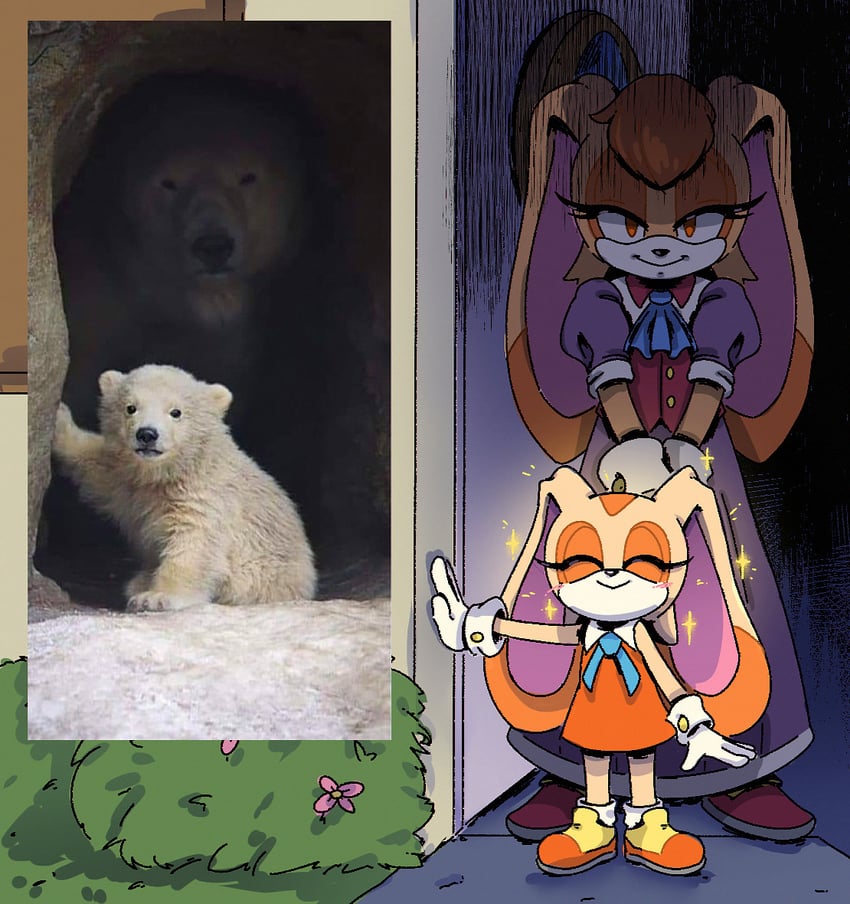 cream the rabbit and vanilla the rabbit (sonic) drawn by nenafena