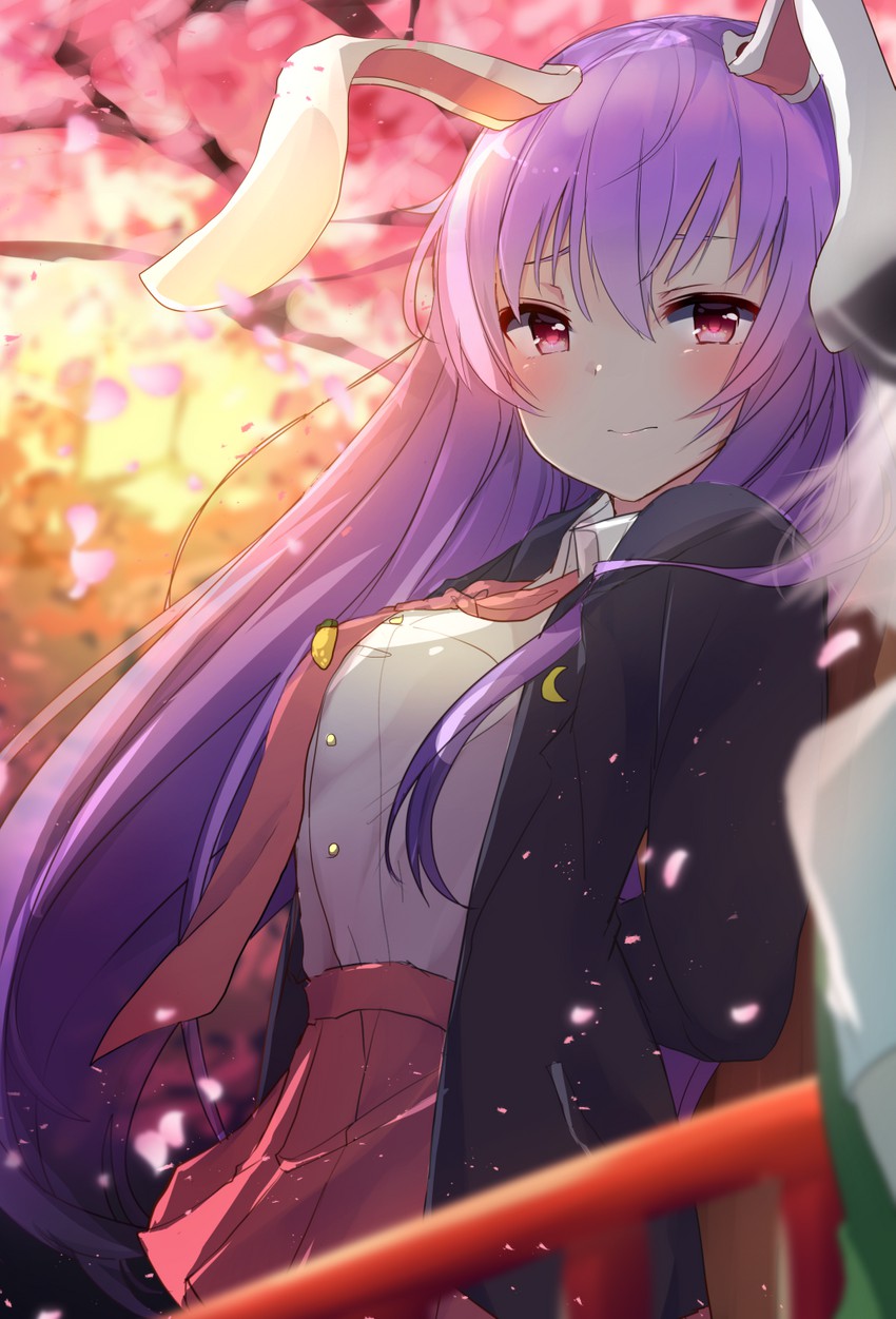 konpaku youmu and reisen udongein inaba (touhou) drawn by karasusou_nano