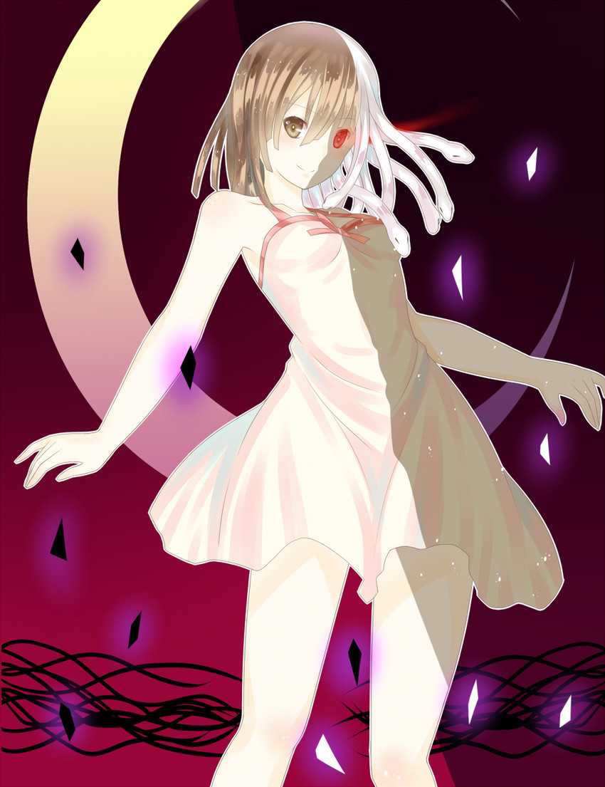 sengoku nadeko and god nadeko (monogatari and 2 more) drawn by lutecia_syndrome