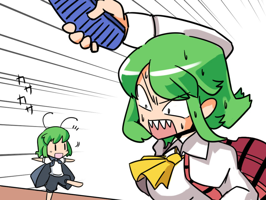 kazami yuuka and wriggle nightbug (touhou) drawn by zassou_maruko