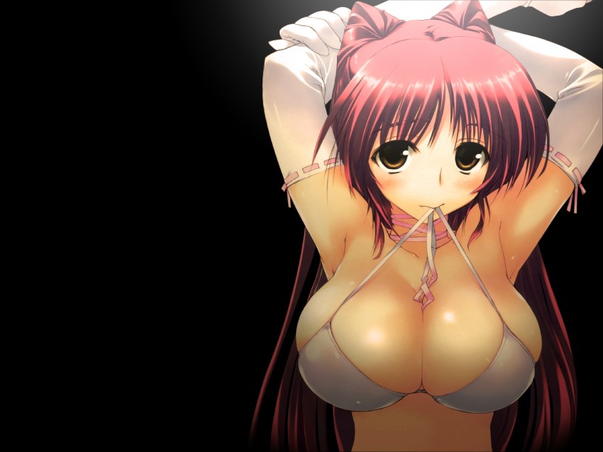 Sexy anime girls with big boobs