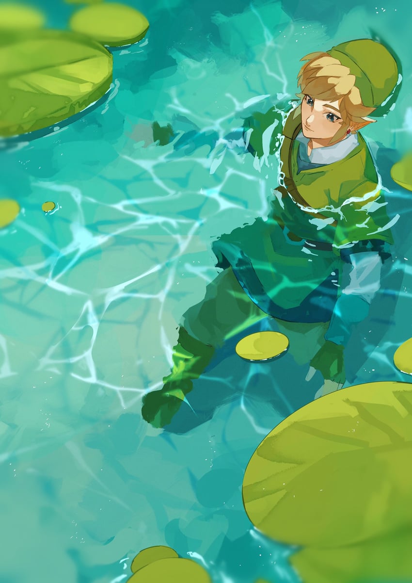 link (the legend of zelda and 1 more) drawn by pisu_1107