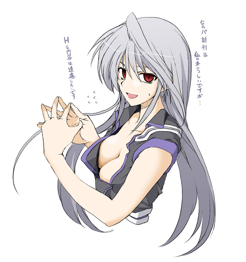 reinforce (lyrical nanoha and 3 more) drawn by elf_(stroll_in_the_woods)