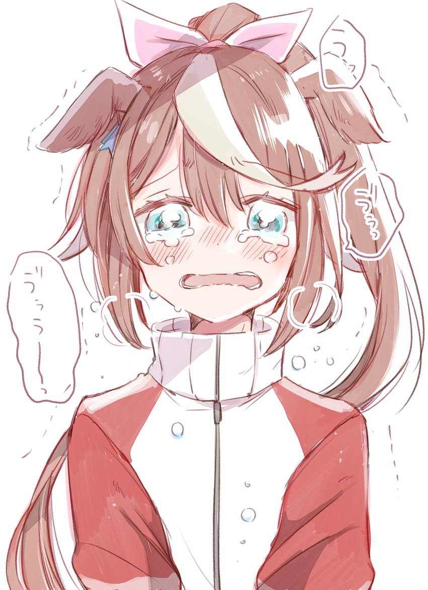 tokai teio (umamusume) drawn by mito_(go!go!king!)