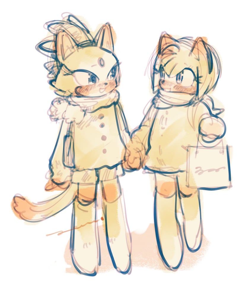 amy rose and blaze the cat (sonic) drawn by pam3le