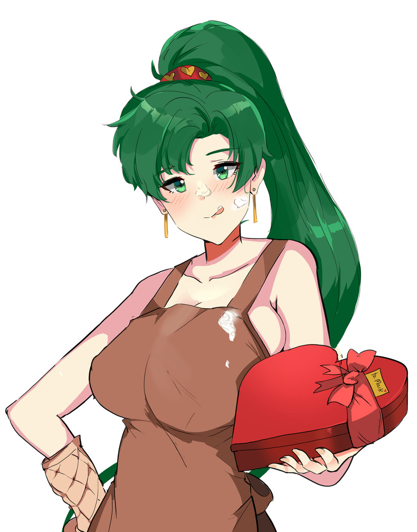 lyn (fire emblem and 1 more) drawn by ormille