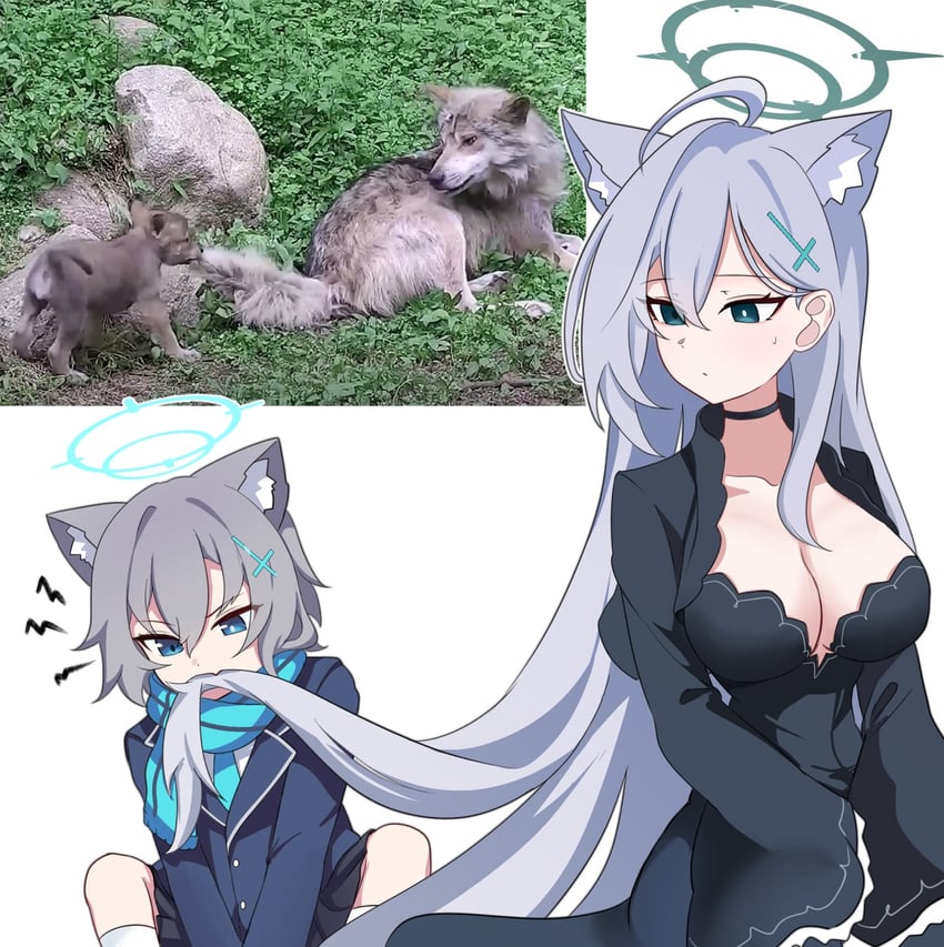shiroko and shiroko terror (blue archive) drawn by skyrain315