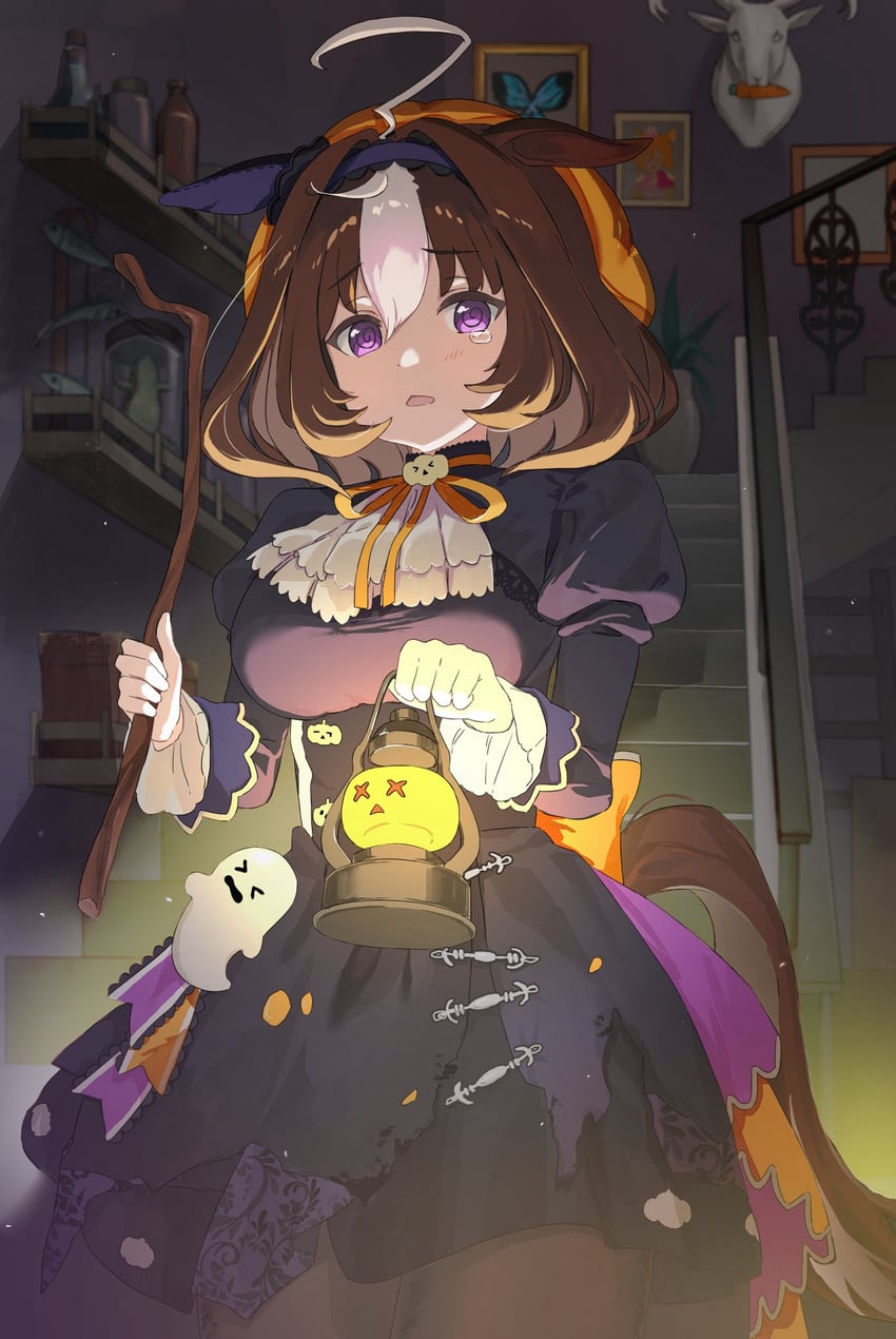 t.m. opera o and meisho doto (umamusume) drawn by burger_yammmm