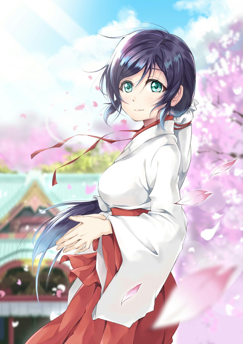 tojo nozomi (love live! and 1 more) drawn by super_pipixia