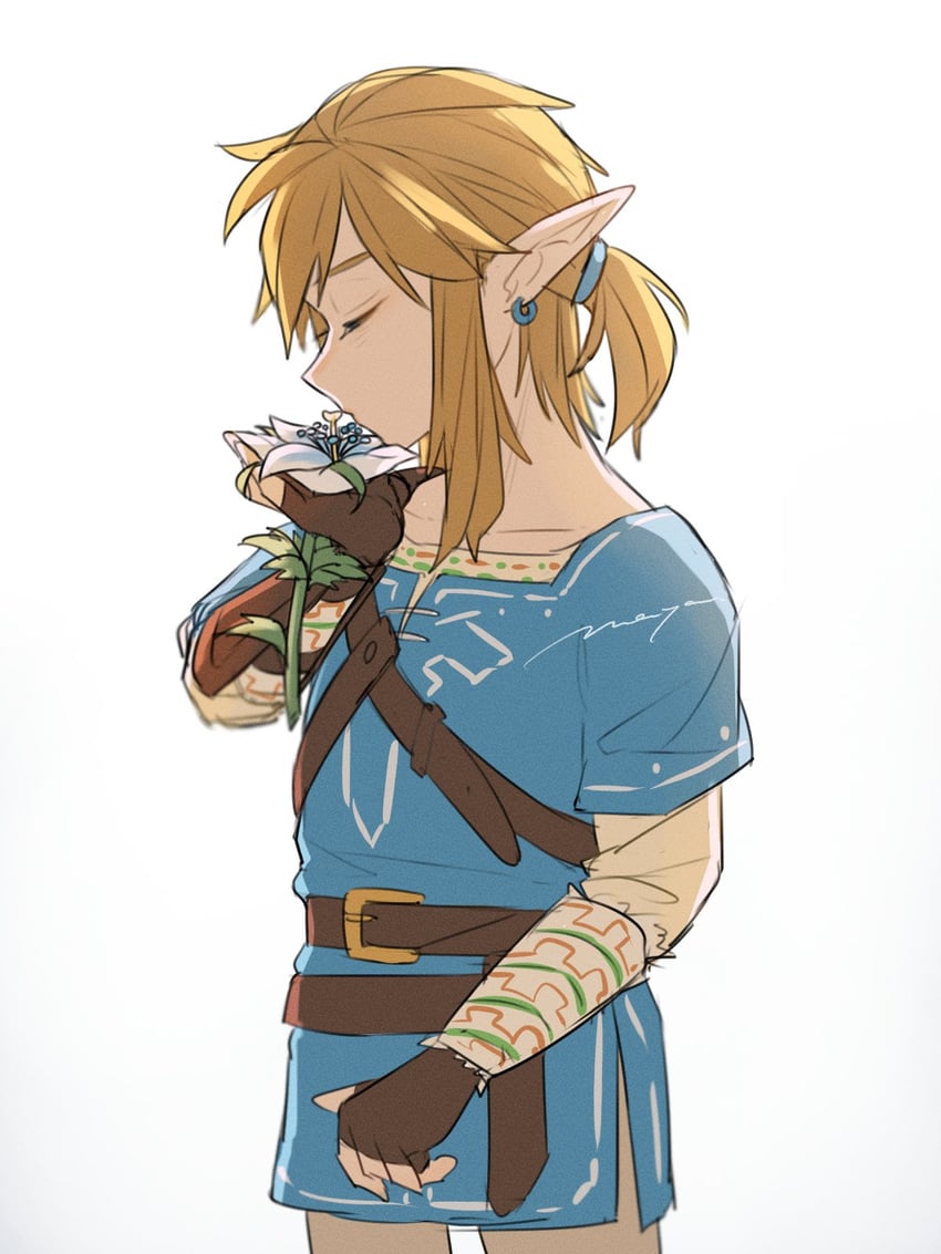 link (the legend of zelda and 1 more) drawn by maya_(mayamayammy)