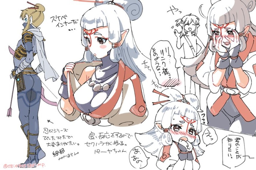 link and paya (the legend of zelda and 1 more) drawn by shuri_(84k)