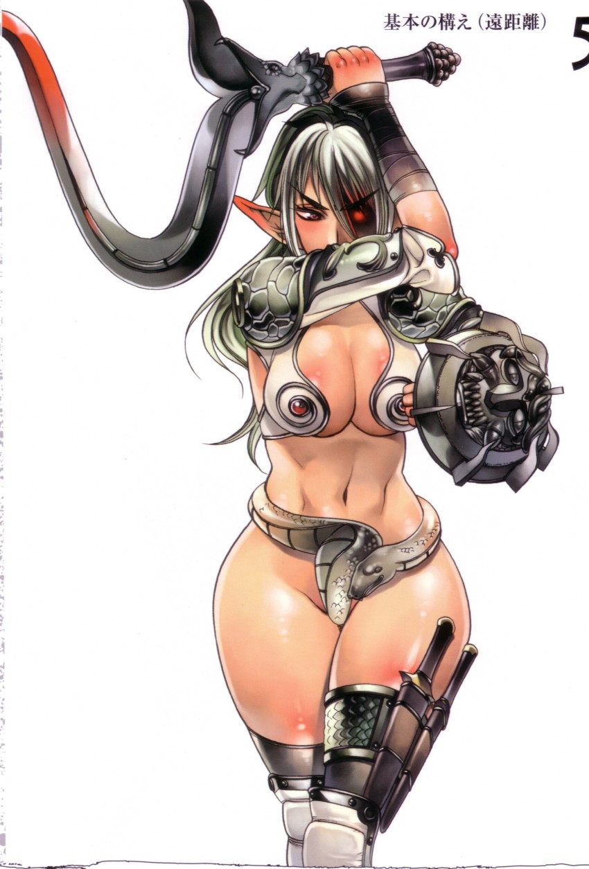 echidna and veteran mercenary echidna (queen's blade) drawn by f.s.