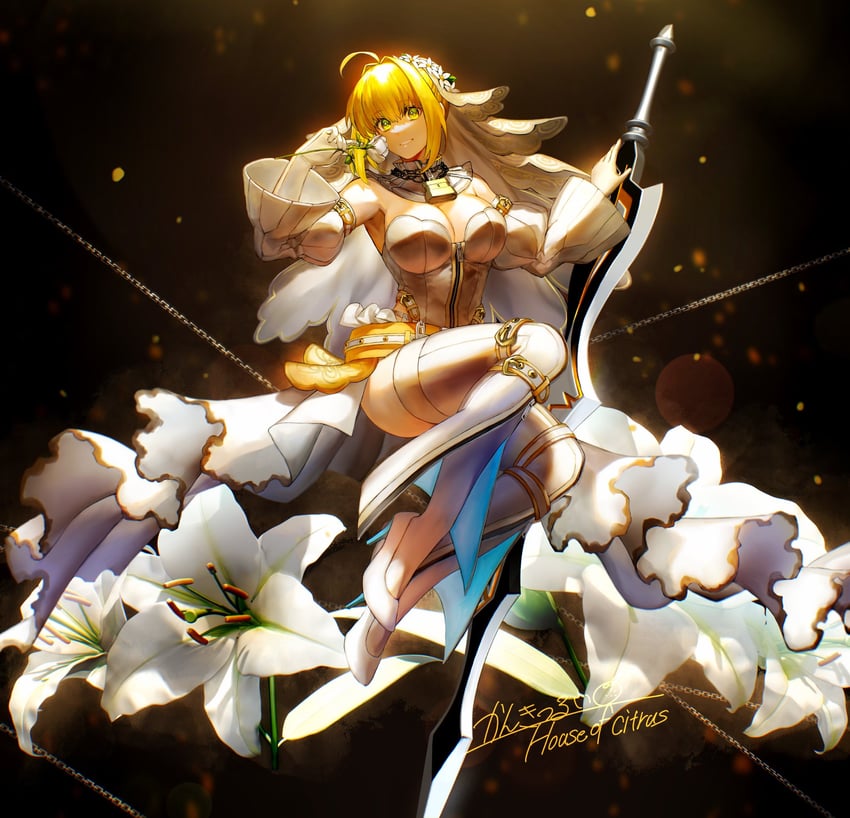 nero claudius (fate and 2 more) drawn by kankitsurui_(house_of_citrus)