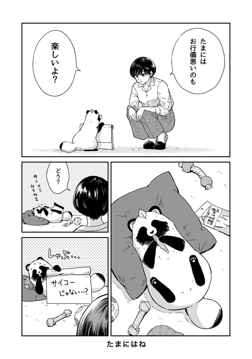 tanuki and fuji (ame to kimi to) drawn by nikaidou_kou