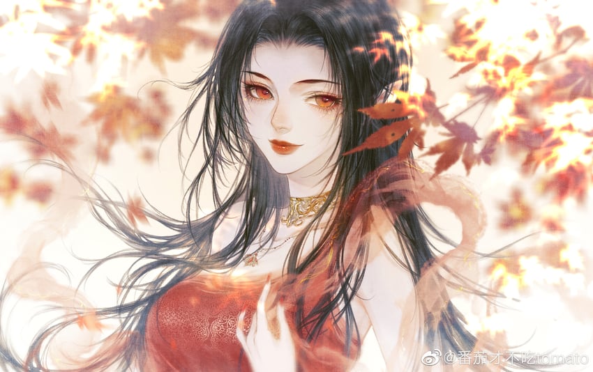 cai lin (doupo cangqiong) drawn by fanqie_caibu_chi_tomato
