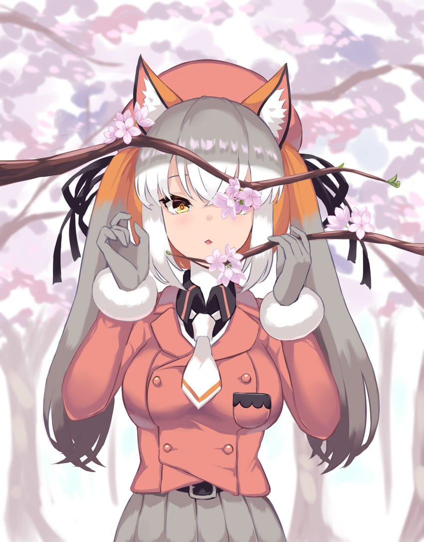 island fox (kemono friends and 1 more) drawn by sawara_noa