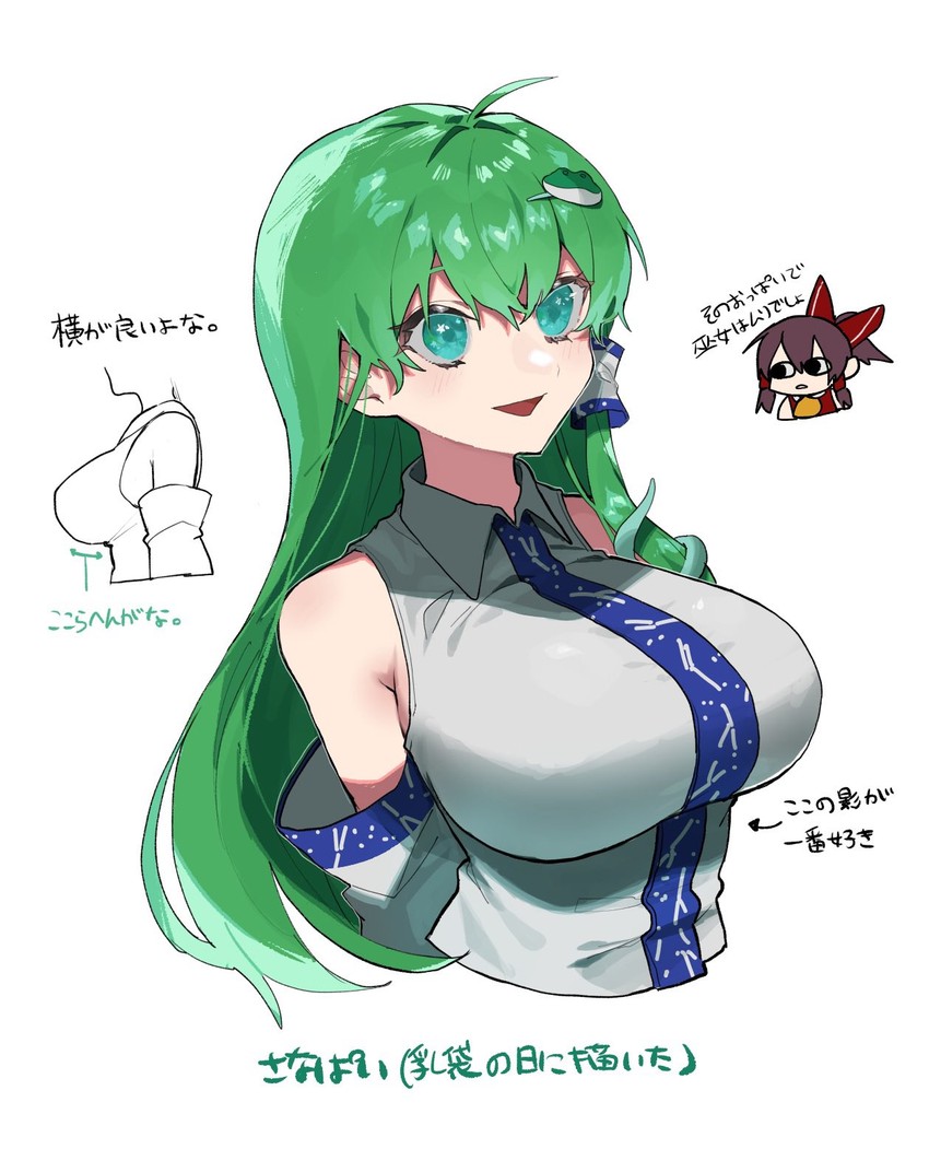 hakurei reimu and kochiya sanae (touhou) drawn by fuuga_(perv_rsity)