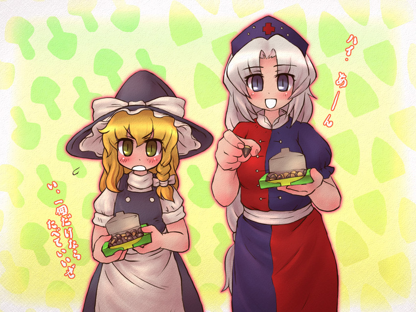 kirisame marisa and yagokoro eirin (touhou) drawn by sankuma