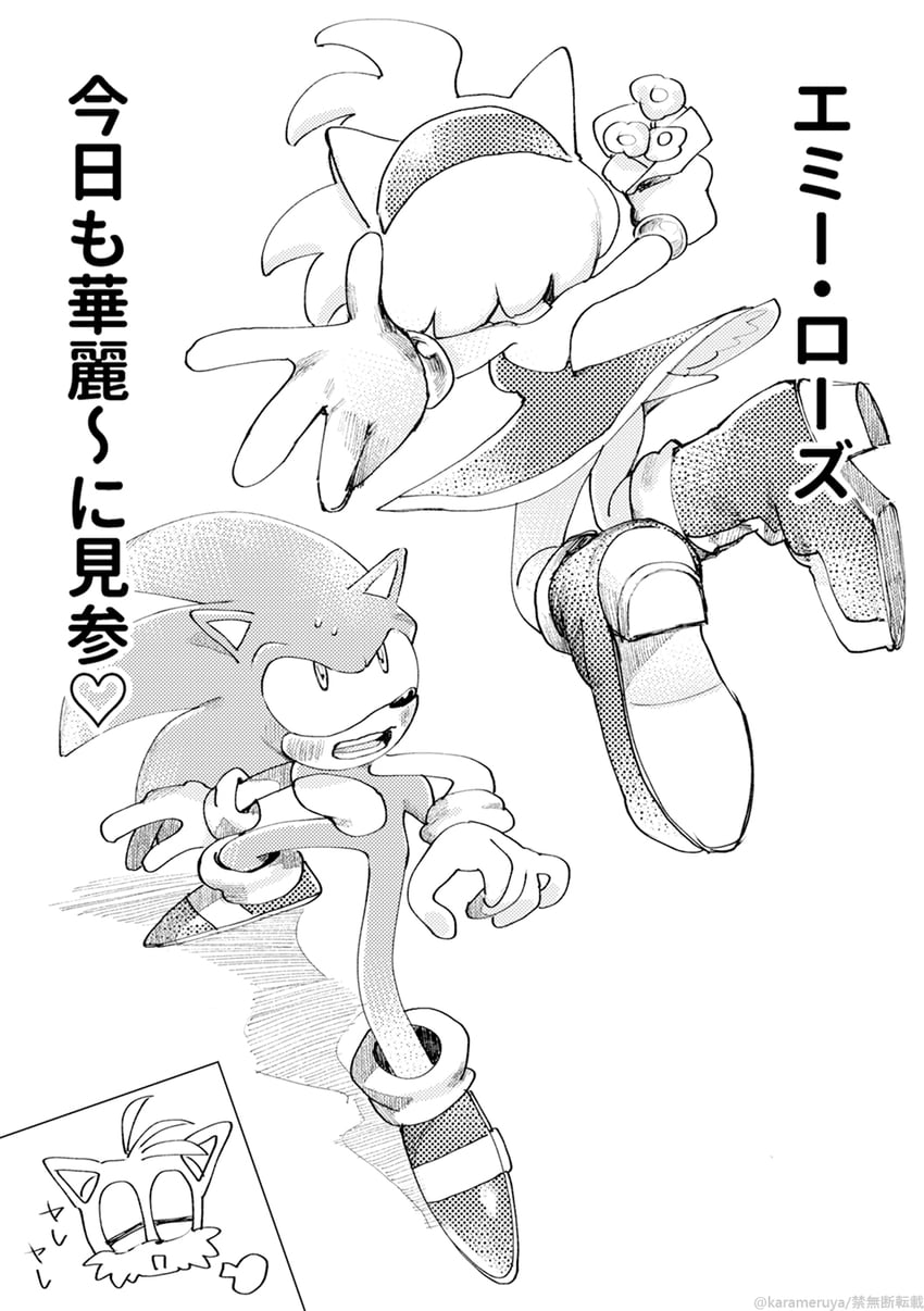 sonic the hedgehog and amy rose (sonic) drawn by purin_(iddunpg)