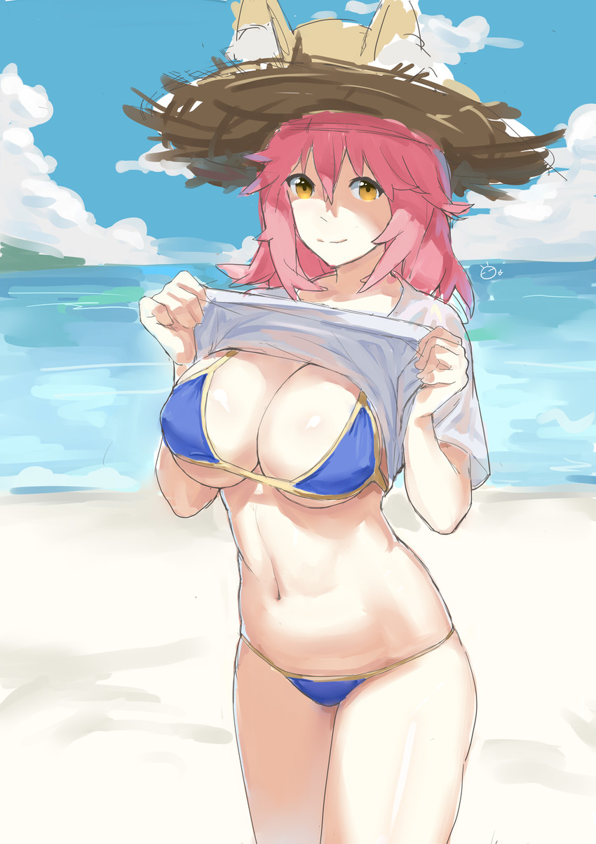 tamamo and tamamo no mae (fate and 1 more) drawn by chaoxi