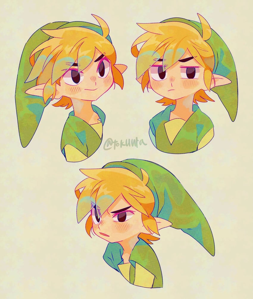 link and toon link (the legend of zelda and 1 more) drawn by tokuura