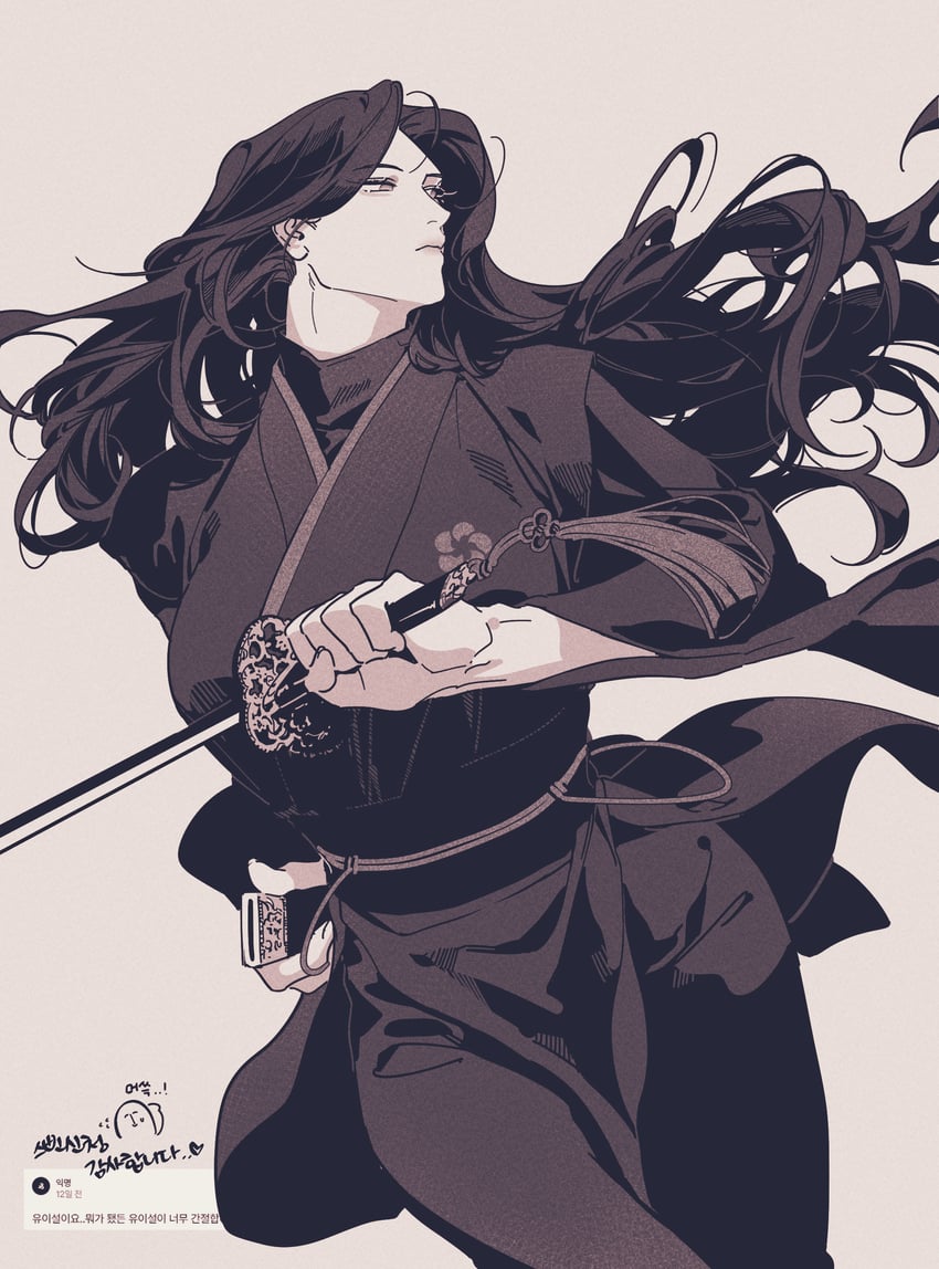 yu iseol (return of the mount hua sect) drawn by wolgang