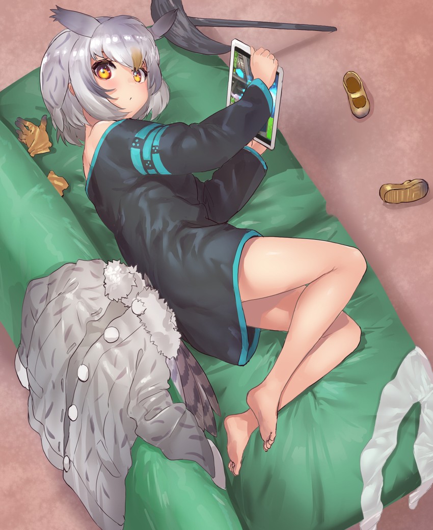 northern white-faced owl (kemono friends) drawn by tadano_magu