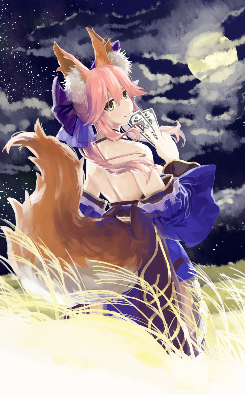tamamo and tamamo no mae (fate and 1 more) drawn by satsuki_(satsuki1987)