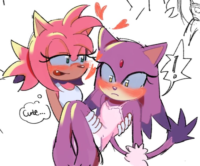 amy rose and blaze the cat (sonic) drawn by fishsoof