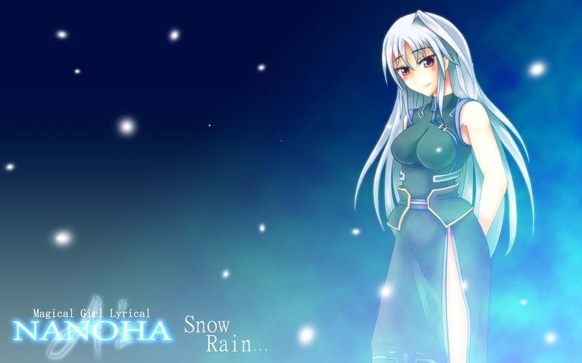 reinforce (lyrical nanoha and 2 more) drawn by frey
